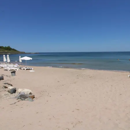 Menada In Vris * 사레보